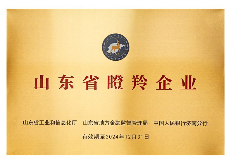 Shandong Gazelle Enterprise